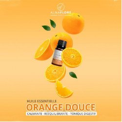 ALMAFLORE Huile Essentielle d'orange douce BIO 10ML ALMAFLORE Huile Essentielle d'orange douce BIO 10ML
