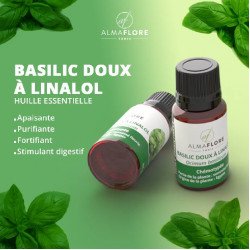 ALMAFLORE Huile Essentielle de Basilic Doux 10ML ALMAFLORE Huile Essentielle de Basilic Doux 10ML