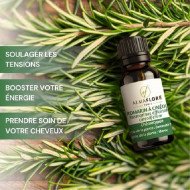 ALMAFLORE HUILE ESSENTIELLE DE ROMARIN À CINÉOLE 10ML