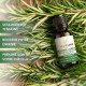 ALMAFLORE HUILE ESSENTIELLE DE ROMARIN À CINÉOLE 10ML