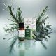 ALMAFLORE HUILE ESSENTIELLE DE ROMARIN À CINÉOLE 10ML