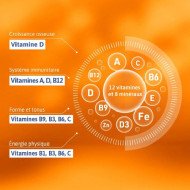 ALVITYL Vitalité A Avaler 40 Comprimes 