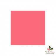Bell HYPOAllergenic Lip Gloss Volumizer - 08 Rose Bell HYPOAllergenic Lip Gloss Volumizer - 08 Rose