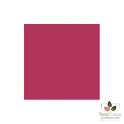 Bell HYPOAllergenic Lip Gloss Volumizer - 09 Berry