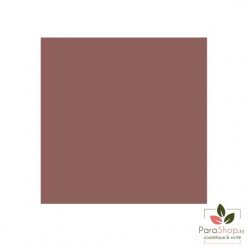 Bell HYPOAllergenic Melting Moisture Lipstick - 02 MOCHA BEIGE