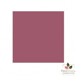 Bell HYPOAllergenic Melting Moisture Lipstick - 06 MAUVE