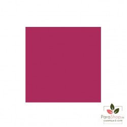 Bell HYPOAllergenic Rouge A Levres Stay On Water Lip 04 - Fame Fuchsia