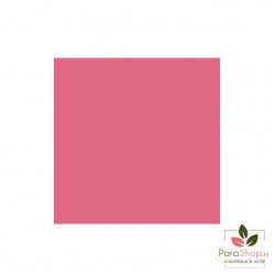 Bell HYPOAllergenic Rouge A Levres Stay On Water Lip 05 - True Pink