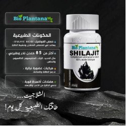 BIO PLANTANA SHILAJIT 60 Gelules