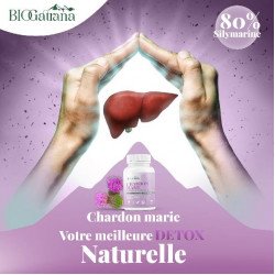 BIOGATRANA CHARDON MARIE 60 Gelules 