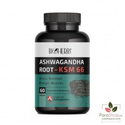 ASHWAGANDA 60 GELULES ASHWAGANDA 60 GELULES