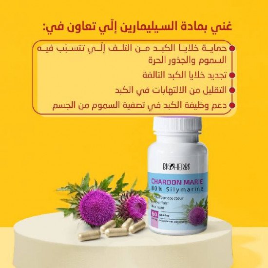 BIOHERBS Chardon Marie 60 GELULES