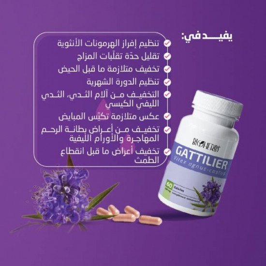BIOHERBS GATTILIER VITEX 60 GELULES