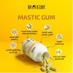 BIOHERBS Mastic Gum 60 GELULES
