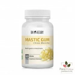 BIOHERBS Mastic Gum 60 GELULES