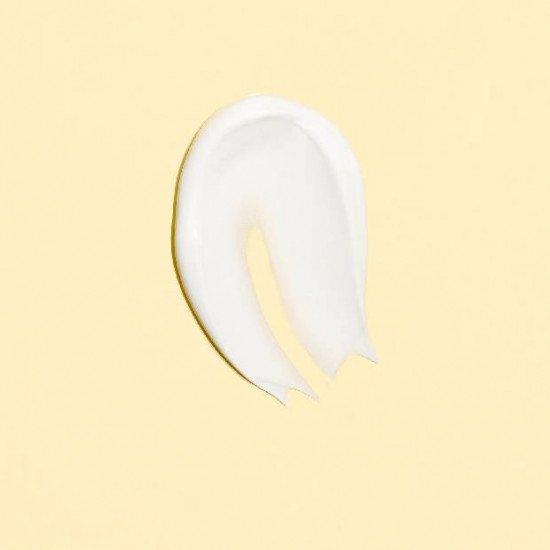 BIOLANE CREME DE CHANGE 50ML