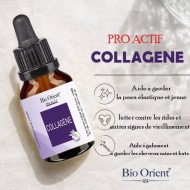 BIO ORIENT PRO ACTIF COLLAGENE 10ML BIO ORIENT PRO ACTIF COLLAGENE 10ML