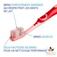 ELGYDIUM JUNIOR BROSSE A DENTS RACOON 7/12 ANS ELGYDIUM JUNIOR BROSSE A DENTS RACOON 7/12 ANS