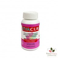 EVACUR ANTI FATIGUE 40 Comprimes EVACUR ANTI FATIGUE 40 Comprimes