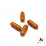 FORTE PHARMA XTRASLIM COUPE-FAIM 60 Gélules FORTE PHARMA XTRASLIM COUPE-FAIM 60 Gélules