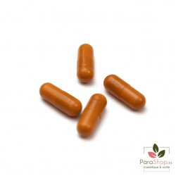 FORTE PHARMA XTRASLIM COUPE-FAIM 60 Gélules FORTE PHARMA XTRASLIM COUPE-FAIM 60 Gélules