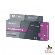 HERBEX L-GLUTAMINE 300MG 20 GELULES  HERBEX L-GLUTAMINE 300MG 20 GELULES