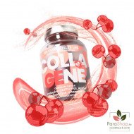 LES ESSENTIELLES LAB COLLAGENE GUMMIES CERISE BT/60 LES ESSENTIELLES LAB COLLAGENE GUMMIES CERISE BT/60