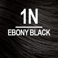 NATURTINT COLORATION PERMANENTE 1N NOIR EBENE NATURTINT COLORATION PERMANENTE 1N NOIR EBENE