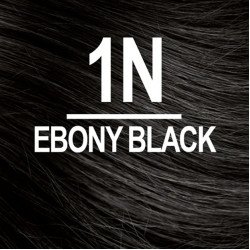 NATURTINT COLORATION PERMANENTE 1N NOIR EBENE NATURTINT COLORATION PERMANENTE 1N NOIR EBENE