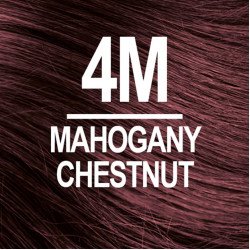 NATURTINT COLORATION PERMANENTE 4M CHATAIN ACAJOU NATURTINT COLORATION PERMANENTE 4M CHATAIN ACAJOU