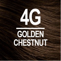 NATURTINT COLORATION PERMANENTE 4G CHATAIN DORE  NATURTINT COLORATION PERMANENTE 4G CHATAIN DORE