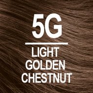 NATURTINT COLORATION PERMANENTE 5G CHATAIN CLAIR DORE  NATURTINT COLORATION PERMANENTE 5G CHATAIN CLAIR DORE
