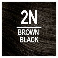 NATURTINT COLORATION PERMANENTE 2N CHATIN NOIR NATURTINT COLORATION PERMANENTE 2N CHATIN NOIR
