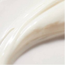 NUXE REVE DE MIEL CICA Creme Mains Riche 50ML NUXE REVE DE MIEL CICA Creme Mains Riche 50ML