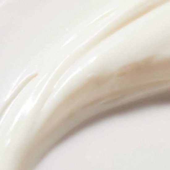 NUXE REVE DE MIEL CICA Creme Mains Riche 50ML NUXE REVE DE MIEL CICA Creme Mains Riche 50ML