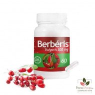 PHYTO D'ART BERBERIS VULGARIS 60 Gelules PHYTO D'ART BERBERIS VULGARIS 60 Gelules