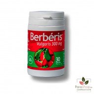 PHYTO D'ART BERBERIS VULGARIS 30 Gelules
