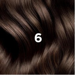 PHYTOCOLOR 6 BLOND FONCÉ  PHYTOCOLOR 6 BLOND FONCÉ