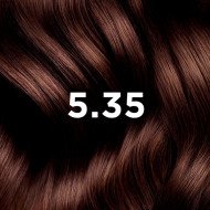 PHYTOCOLOR - COULEUR SOIN 5.35 CHATAIN CLAIR CHOCOLAT PHYTOCOLOR - COULEUR SOIN 5.35 CHATAIN CLAIR CHOCOLAT
