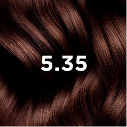 PHYTOCOLOR - COULEUR SOIN 5.35 CHATAIN CLAIR CHOCOLAT PHYTOCOLOR - COULEUR SOIN 5.35 CHATAIN CLAIR CHOCOLAT