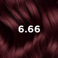 PHYTOCOLOR - COULEUR SOIN 6.66 CHATAIN CLAIR CERISE INTENSE