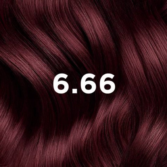 PHYTOCOLOR - COULEUR SOIN 6.66 CHATAIN CLAIR CERISE INTENSE