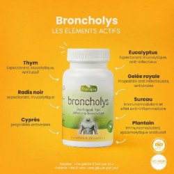 THERAPIA BRONCHOLYS 30 GELULES