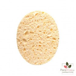 TITANIA Eponge Humide 12x9.5CM X2 - 1980 TITANIA Eponge Humide 12x9.5CM X2 - 1980