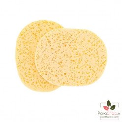 TITANIA Eponge Humide 12x9.5CM X2 - 1980 