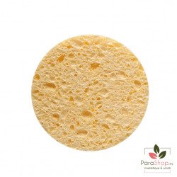 TITANIA Eponge Humide 8CM X2 - 1981 