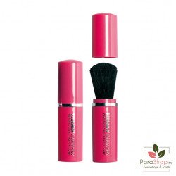 TITANIA Pinceau Poudre - 1948/B