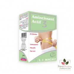 MINCIVIT AMINCISSANT ACTIF 3 - 30 GELLULES MINCIVIT AMINCISSANT ACTIF 3 - 30 GELLULES