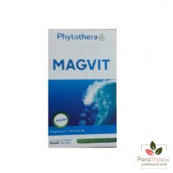 PHYTOTHERA MAGVIT - 60 Gelules PHYTOTHERA MAGVIT - 60 Gelules