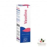 VITAL VASELINE 40G VITAL VASELINE 40G